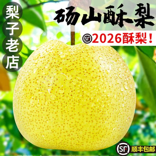 安徽正宗砀山酥梨新鲜水果
