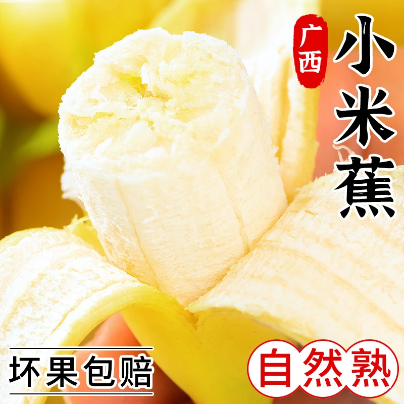 广西小米蕉孕妇新鲜水果