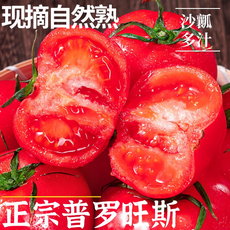 陕西普罗旺斯西红柿沙瓤自然熟