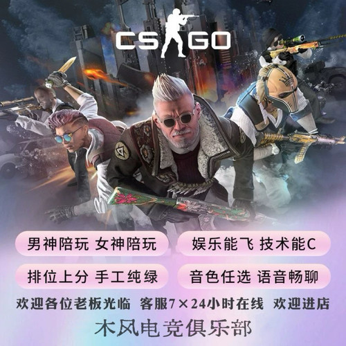 CSGO陪玩CS2陪娱乐女技术上分