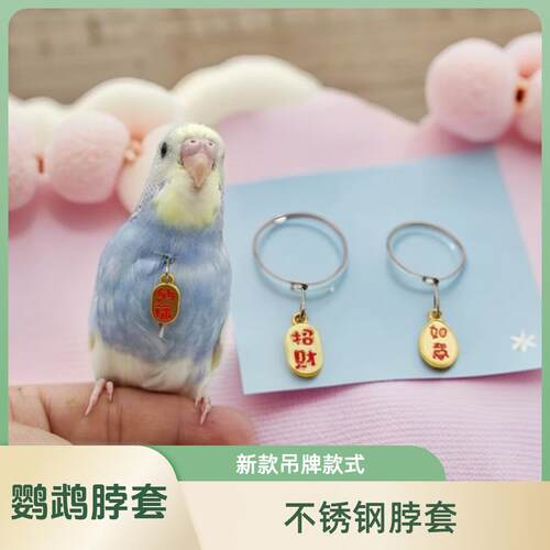 鹦鹉脖套不锈钢材质玄凤牡丹虎皮栓鸟链遛鸟放飞训练脖圈带链子