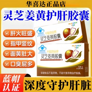 华喜达中和鸿业牌灵芝姜黄胶囊化学性肝损伤护肝胶囊官方正品店