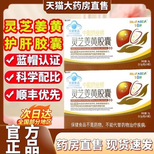 华喜达中和鸿业牌灵芝姜黄护肝胶囊熬夜养肝辅助保护化学性肝损伤