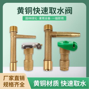 6分DN20铜快速取水阀绿化取水器插杆园林喷灌方便体洒水栓1寸DN25