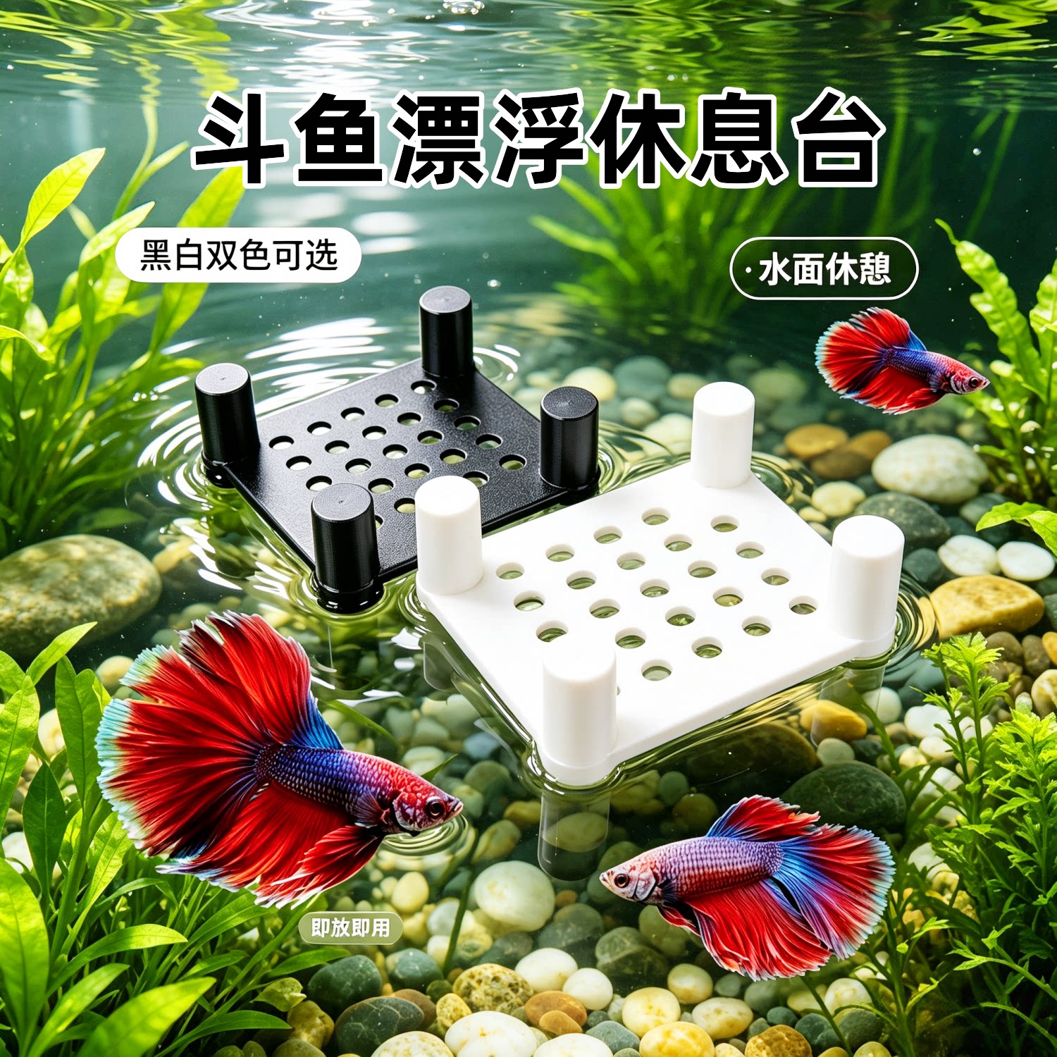 斗鱼孔雀鱼鱼缸漂浮睡觉床