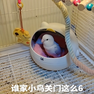 通透 窝实用舒适拍照神器可开合四季 鸟窝鹦鹉窝夏季 清凉透气新款