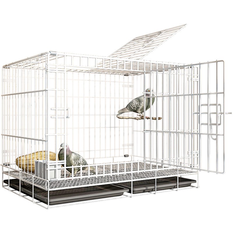 叮叮宠鸽子笼鸟笼子大号鹦鹉笼子芦丁鸡笼网红鹌鹑鸡窝宠物家用