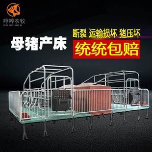 母猪产床母猪定位栏猪产床双体配件分娩床养殖场设备小仔猪保育床