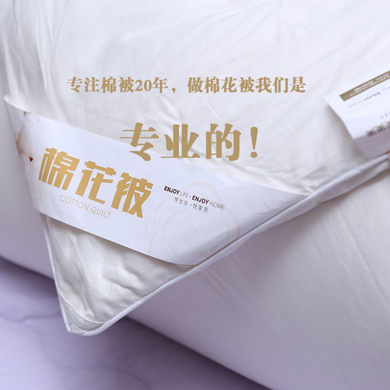 包布无网棉花被新疆棉被长绒棉被褥子棉絮加厚单人双人春秋被芯
