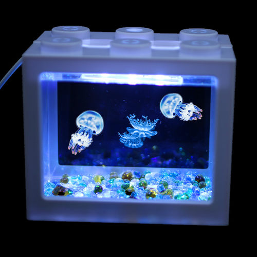 赤月倒立海月水母活物体验缸小型学生礼物非淡水观赏无毒水母宠物