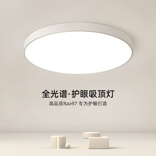 2024新款f护眼吸顶灯全光谱简约现代白色长方形客厅大灯led灯芯