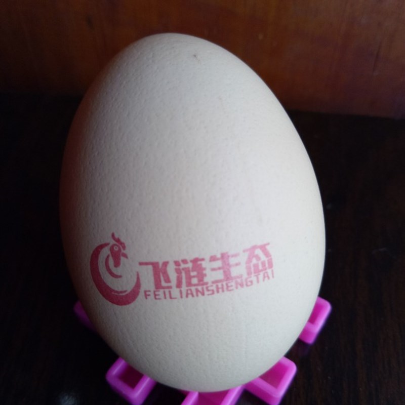鸡蛋打码机商标图案喷印喷码机蛋壳打生产日期鸡蛋印字模打码机器