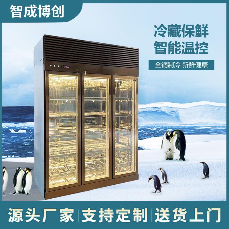 牛肉柜商用冷藏保鲜西餐湿式恒温展示柜风冷牛肉排酸冷冻柜直销
