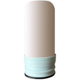 【WP1019原装滤芯】净水器水龙头过滤器自来水净化器超滤芯