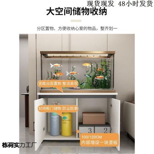 鱼缸过滤制氧一体机带柜子底滤客厅带门储物柜家用鱼缸桌置物柜铁
