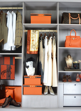 轻奢橙色衣帽间全屋定制软装样z板房间衣柜饰品礼服连衣裙道具家