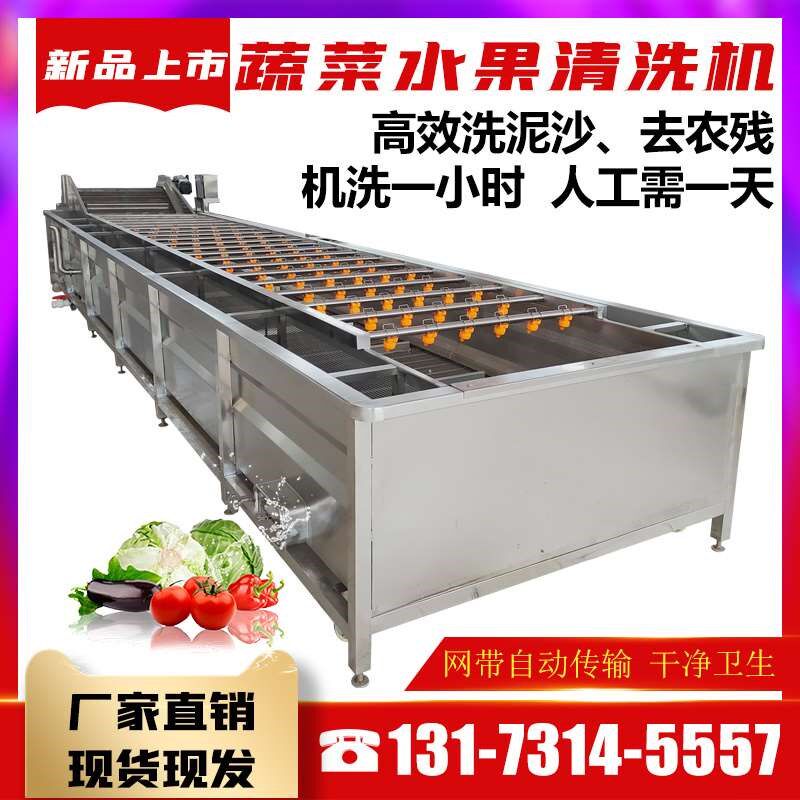 商用果蔬气泡清洗机多功能喷淋叶菜自动洗菜M机柿子黄瓜清洗流水