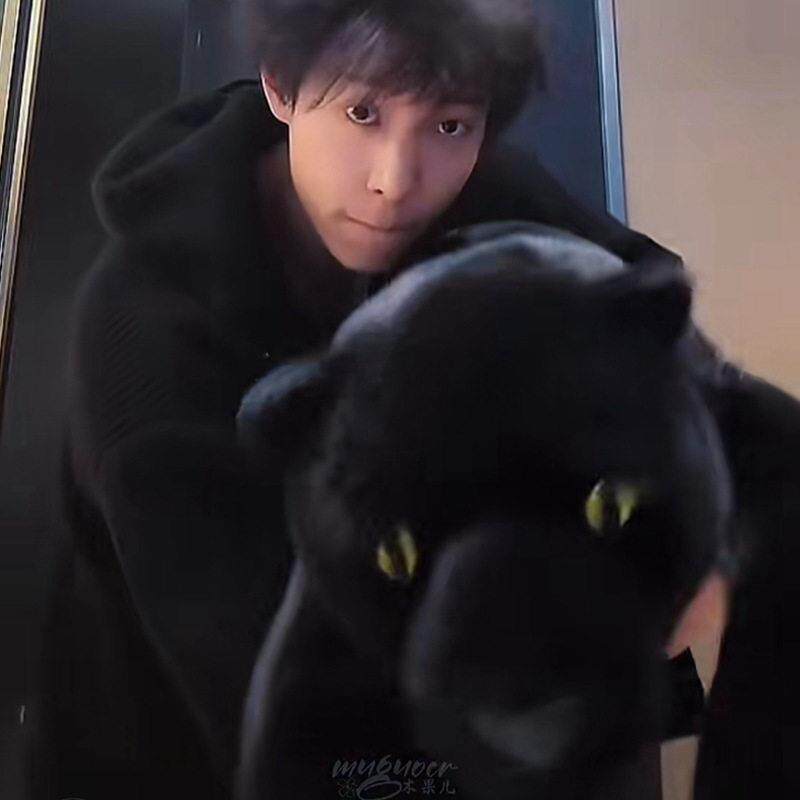 跨境地理儿童节日礼物黑豹玩具仿真毛绒公仔猫科动物黑豹狮子玩偶