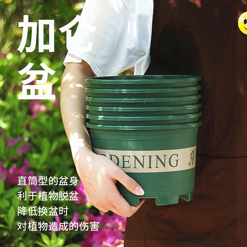 矮胖加仑盆创意1 2 3 5种菜塑料花盆H圆形带托盘家用简约绿萝花盆