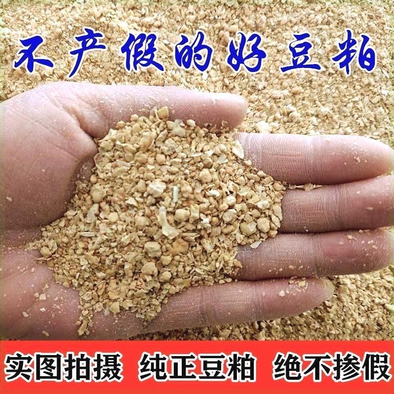 100厂家斤高蛋白直发膨化大村镇高品质豆粕