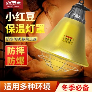 保温灯罩猪用养殖取暖灯灯育雏宠物保温灯兽用加热控温养猪场专用