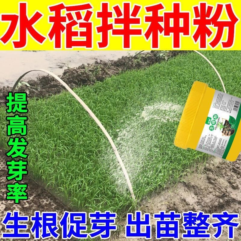 水稻拌种剂催芽快猛发芽育苗生根壮苗专用种衣剂稻种浸种包衣剂