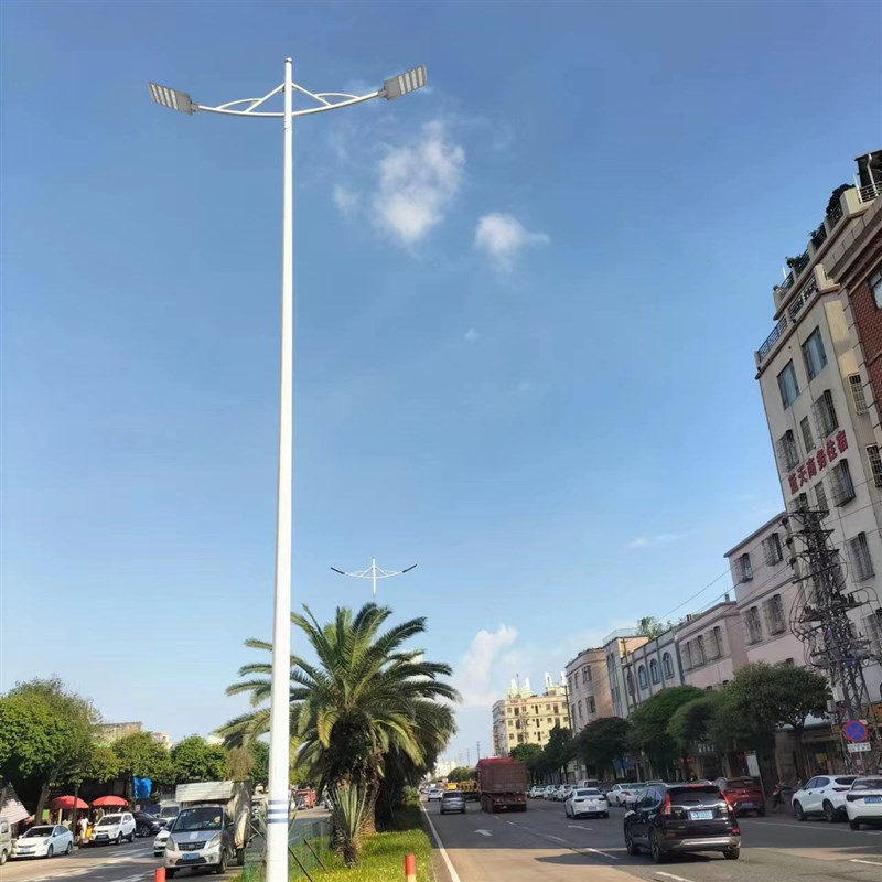 户外LED路灯220伏接电新农村道路照明小区灯防水工程道路灯