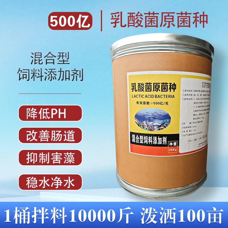 乳酸菌原种鱼塘虾蟹塘调水净水肠道问题好菌种 水产养殖专用菌种