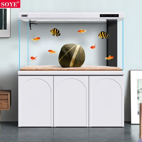 鱼缸客厅超白大型2024新款隔断落地底滤智能屏风生态家用水族箱