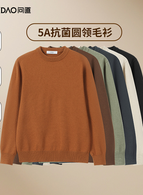 【问道·含棉羊毛毛衣】秋冬新款5A抗菌保暖亲肤圆领针织衫W6866
