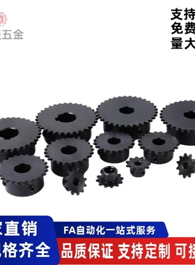 3分06B链轮ST6B-20 21 22 23 24 25-N12N14N15N16N17N18N20N24N25