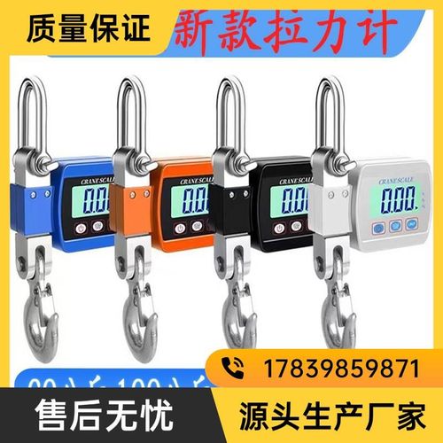 测力计g公斤N吨电子吊秤钩称磅推拉力计数厂家