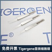 小动物超精细镊子 显微镊大小鼠解剖镊组织镊