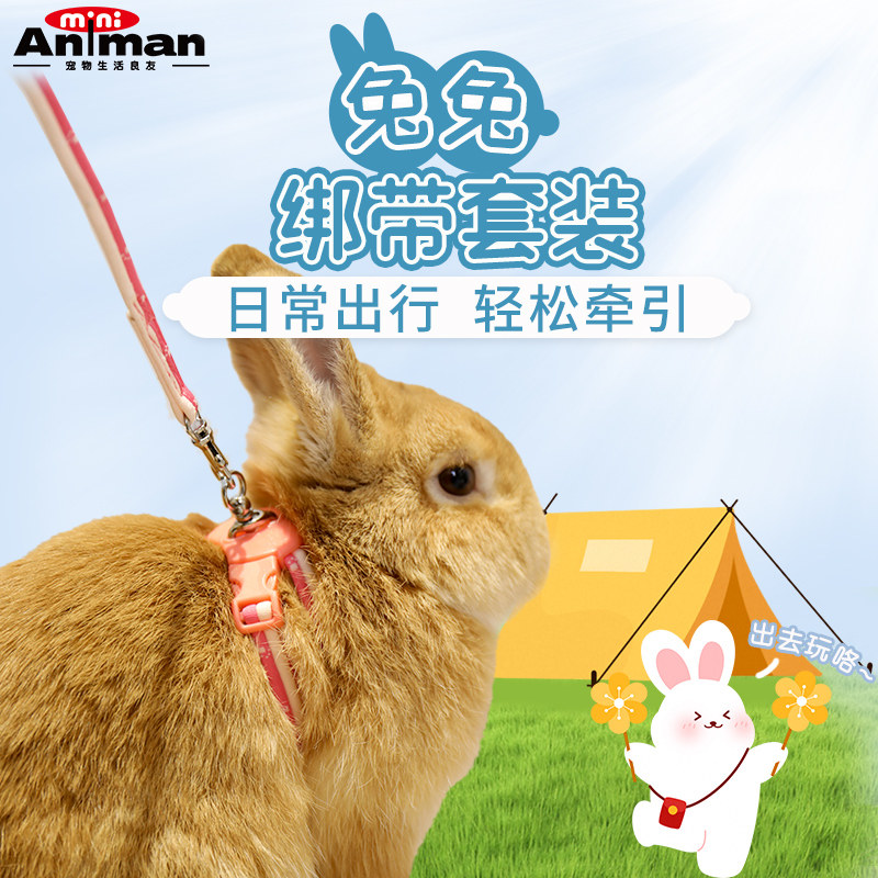Animan爱妮漫小宠牵引绳兔子外出散步绑带背心套装自由调节大小