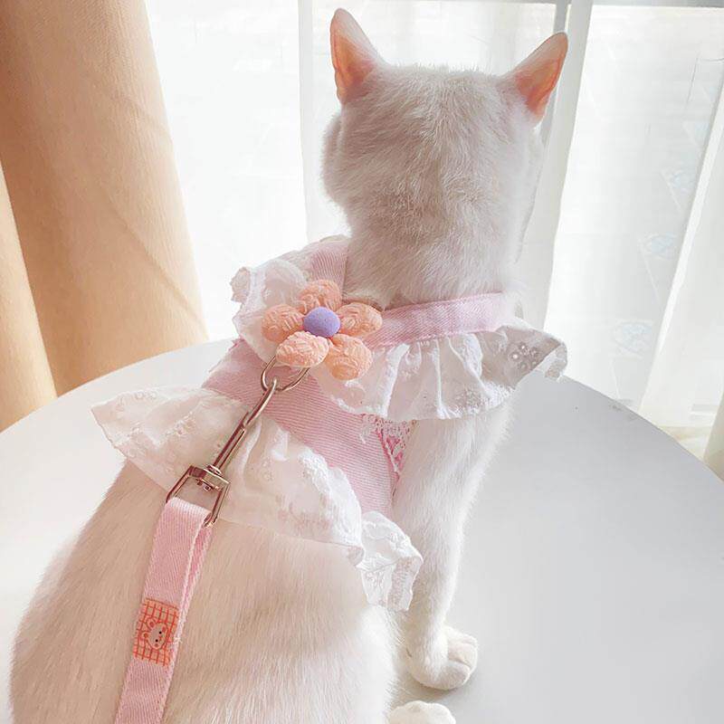 小型犬小号宠物加长胸背遛猫背心超小体专用泰迪猫咪牵引绳公主风