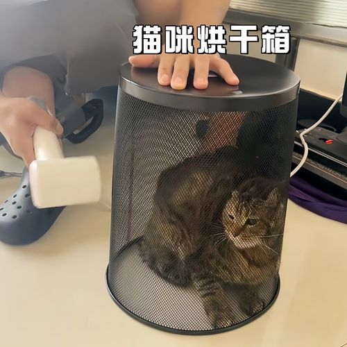 宠物烘干箱猫咪小型犬洗澡专用吹干神器家用吹风机防抓咬宠物吹毛