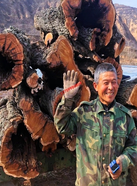 陕西千年自然雷枣木活树采伐雷劈木 深山老枣树原木 切割木条木段