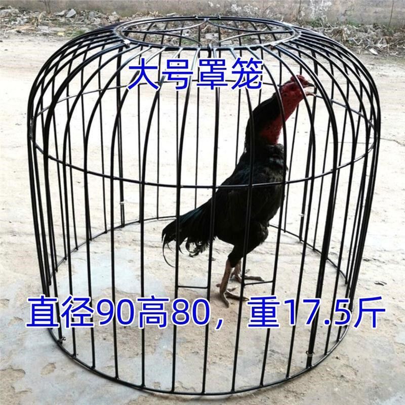 斗鸡笼子斗鸡罩笼加粗大号养殖笼折叠鸭笼鹅笼狗笼鸡笼厂家直发