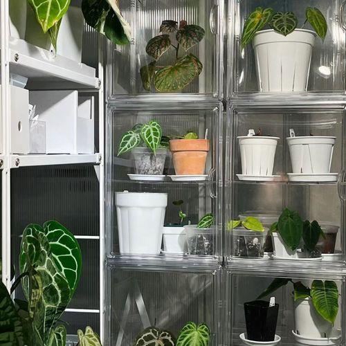 植物闷养箱热带植物保温箱家庭小温室暖棚阳台花房育X苗箱保湿防