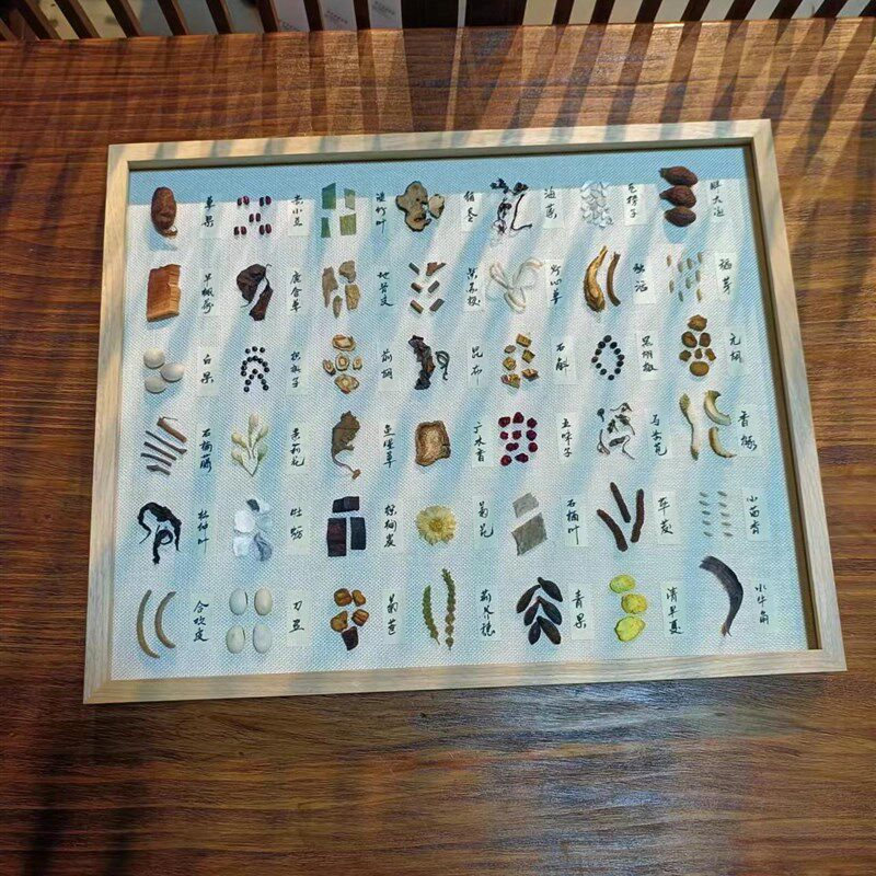 20寸大画框中药标本装饰画涵盖210味可挂墙送礼店铺装修植物标本