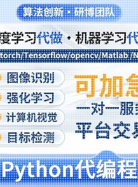 深度机器学习强化python代做程序医学图像处理代编写神经网络调试