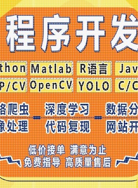 python代做编程matlab代码帮跑通深度学习机器R语言yolo算法复现