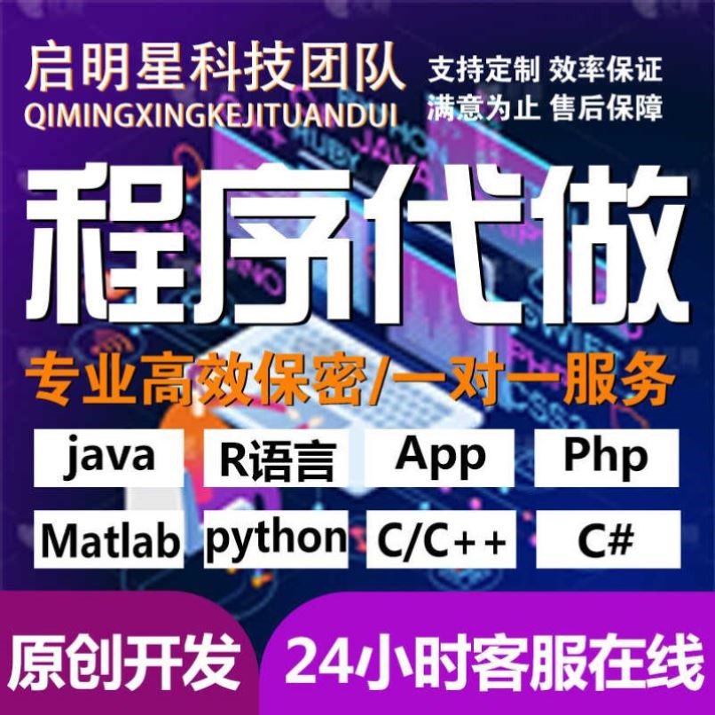 代码编写java系统开发Python代做c/c++程序代编程c#设计R语言接单