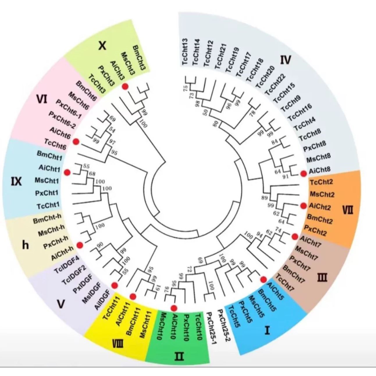 代谢组学Lipidomics 脂质分子鉴定 脂质类别 脂质代谢 专业细分