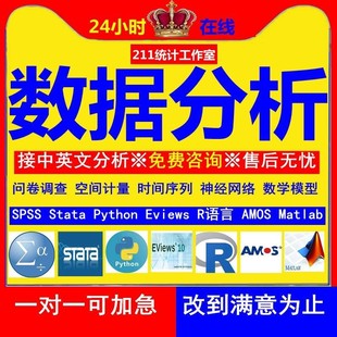 SPSS数据分析服务amos问卷调查eviews实证stata计量meta医学R代做