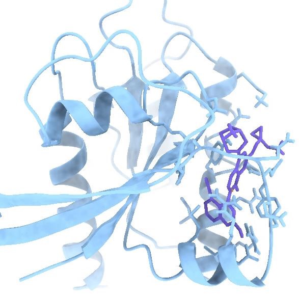 专业分子对接，蛋白蛋白对接，以及化合物设计思路指导