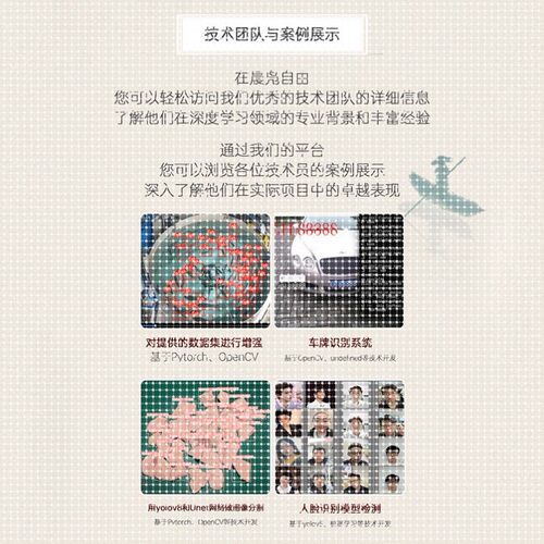 pytorch深度学习cnn/gan/dqn/vit图神经注意力强化代做tensorflow