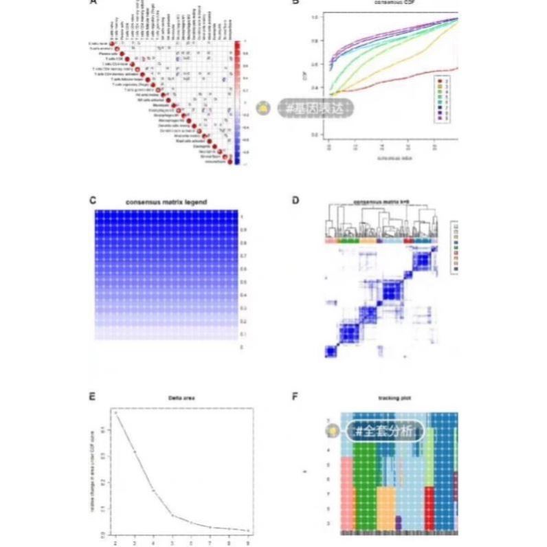 生信分析服务TCGA/GEO数据库挖掘细胞测序转录组分析多组学分析