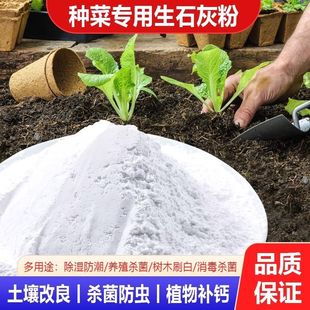 正宗生石灰粉养殖鱼塘刷树果树保暖除湿厂家直销室内生石灰粉农用