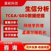 Ribo seq 翻译效率 转录组翻译组整合 转录翻译解偶联 调控层次